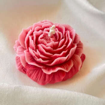 Peony Candle