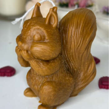 Hi I am squirrel
