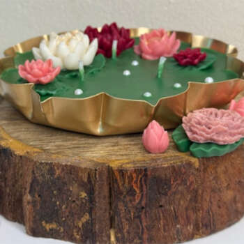 Lotus Urli