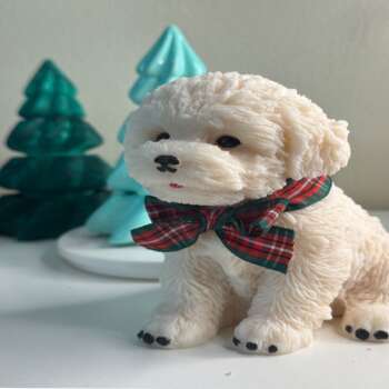 Puppy