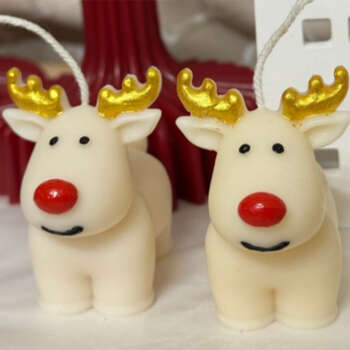 Reindeer