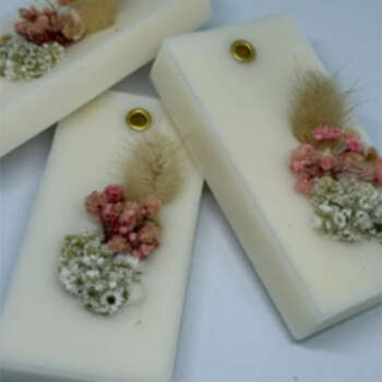 Wax Sachets - Cactus Blooms